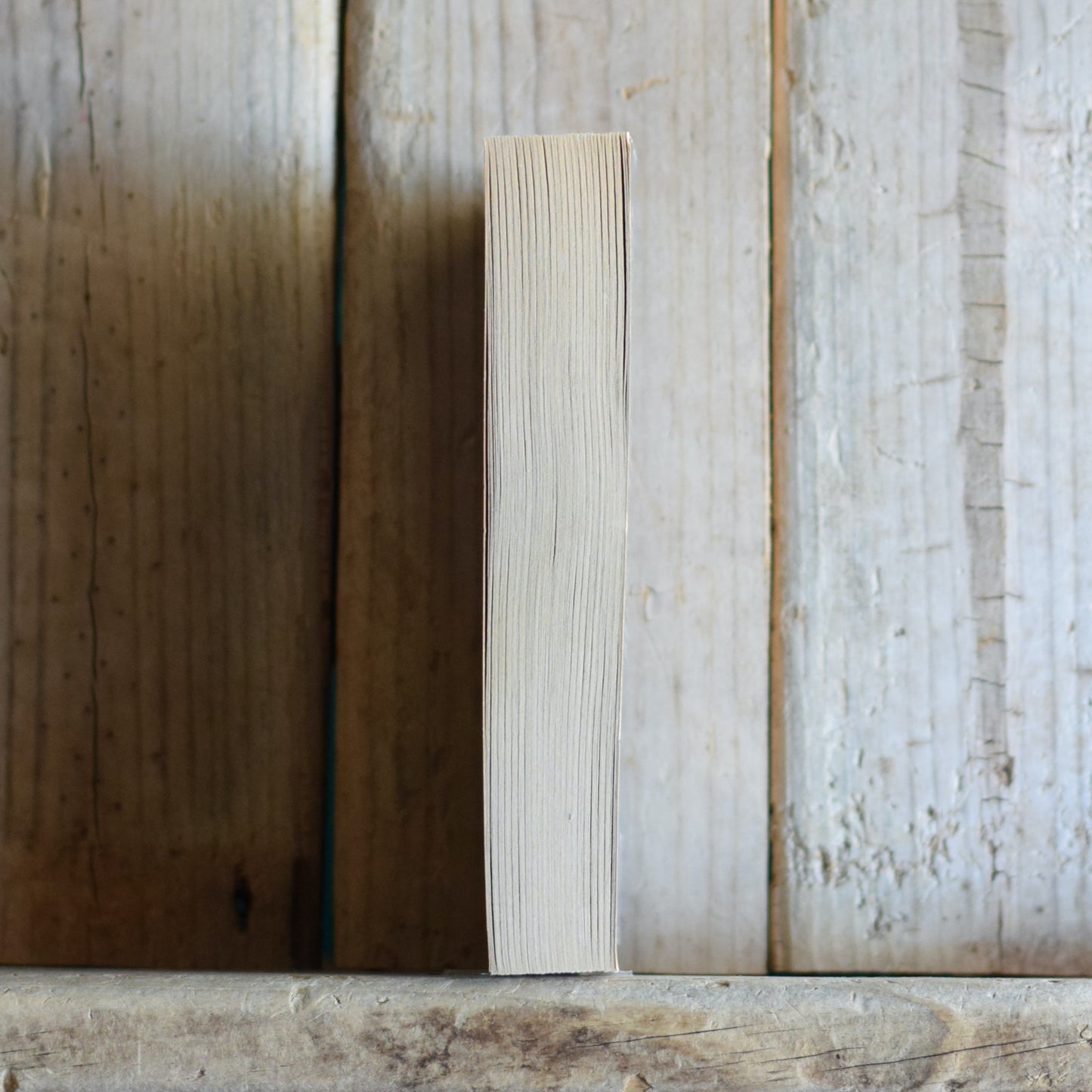 Vintage Dungeons and Dragons Paperback: Christie Golden - Ravenloft: Dance of the Dead FIRST PRINTING