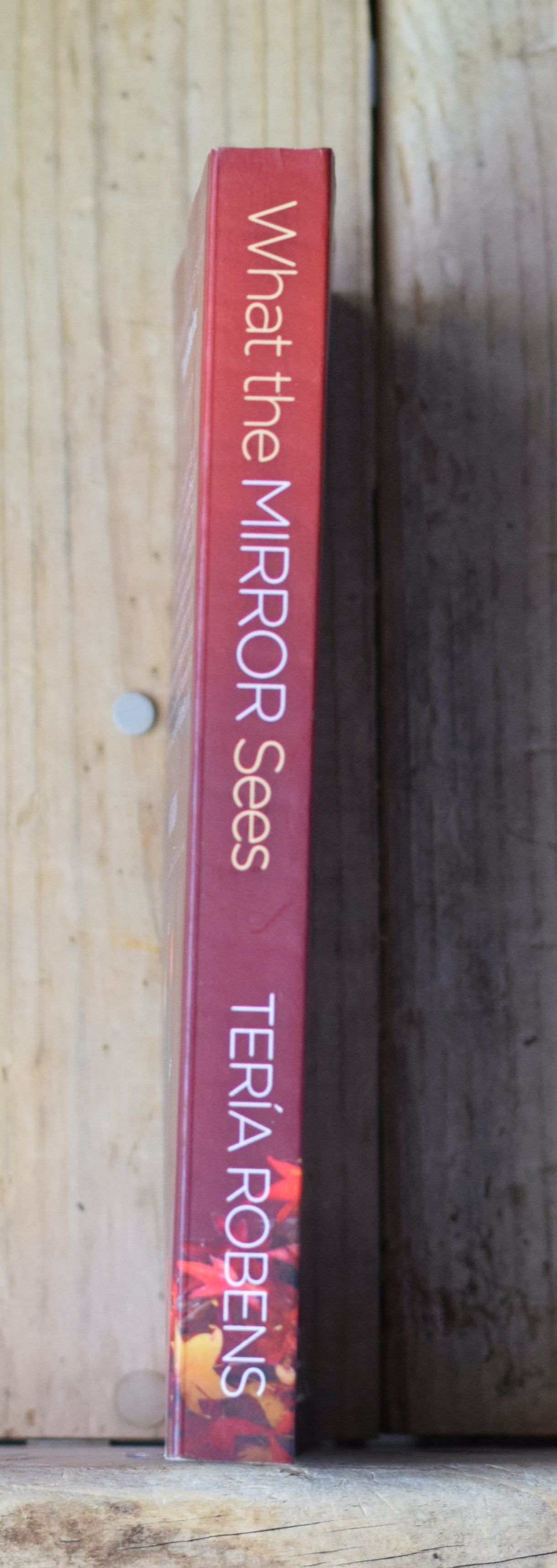 Fiction Paperback: Teria Robens - What the Mirror Sees SIGNED