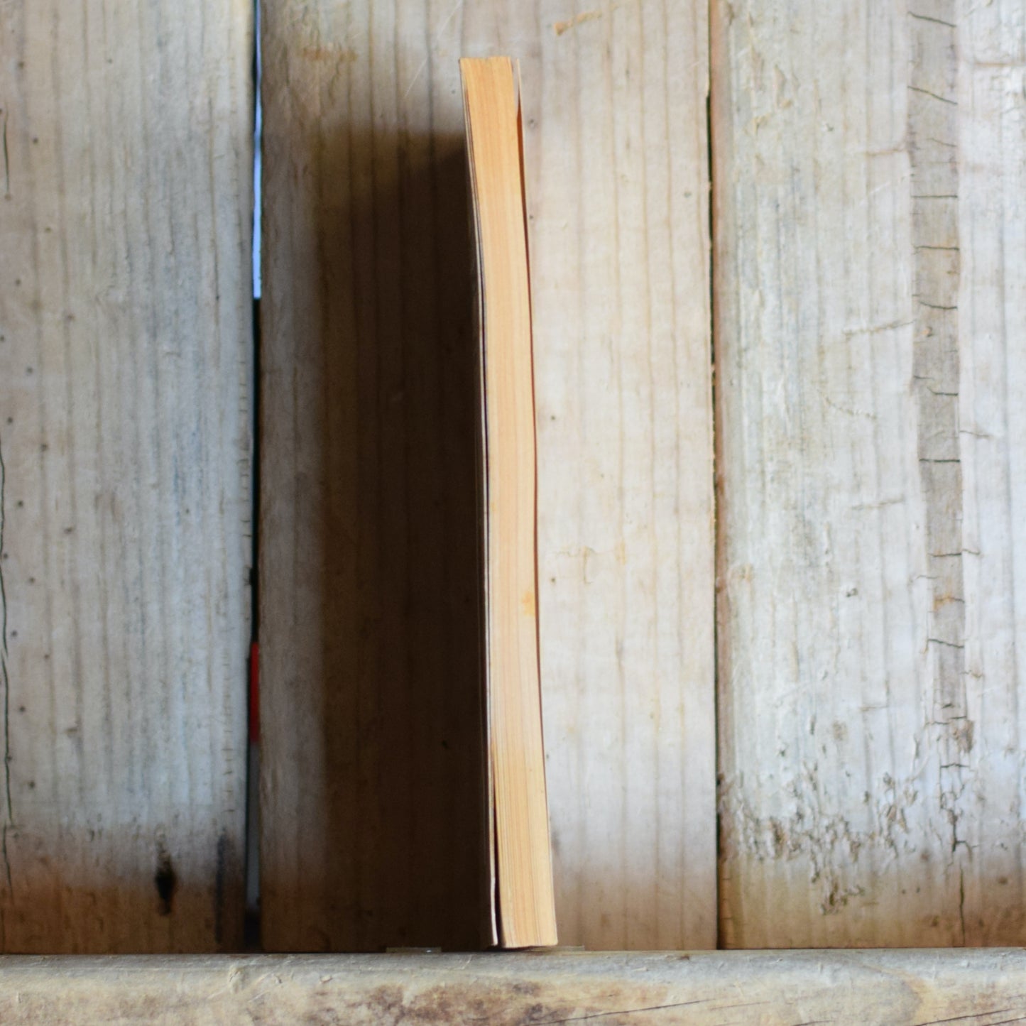 Vintage Dungeons and Dragons Paperback: Linda Lowery - Heart Quest: Secret Sorceress FIRST PRINTING