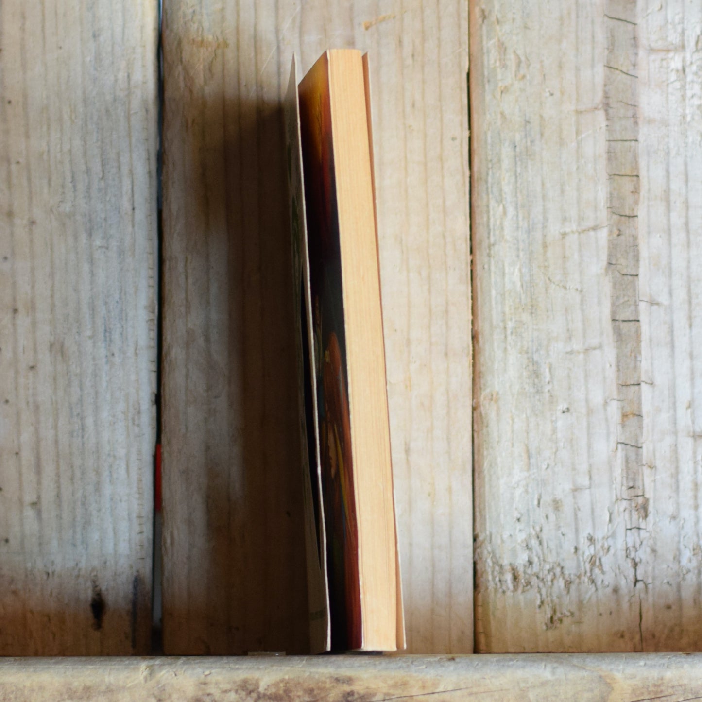 Vintage Dungeons and Dragons Paperback: Linda Lowery - Heart Quest: Secret Sorceress SECOND PRINTING