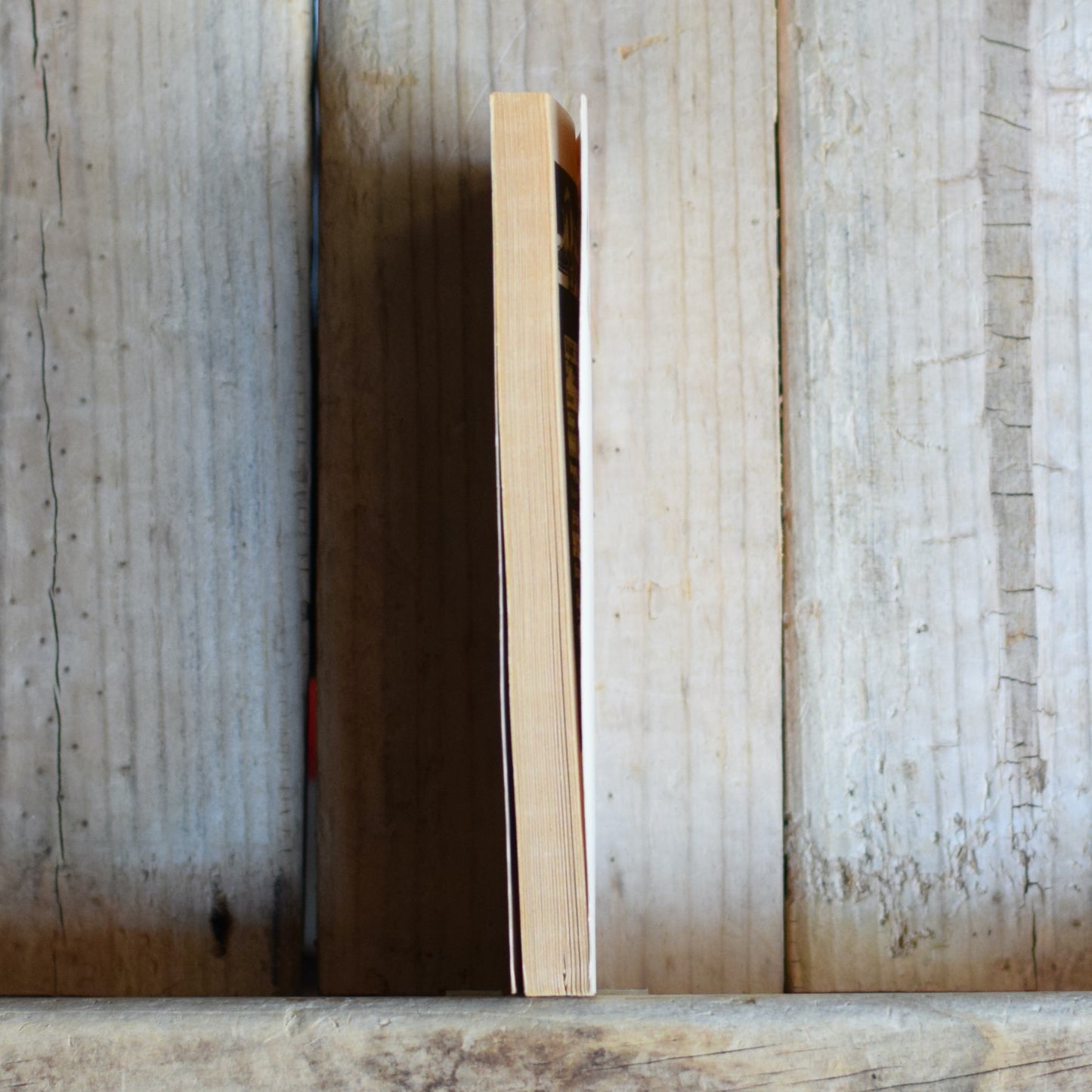 Vintage Dungeons and Dragons Paperback: Madeleine Simon - Heart Quest: Isle of Illusion SECOND PRINTING