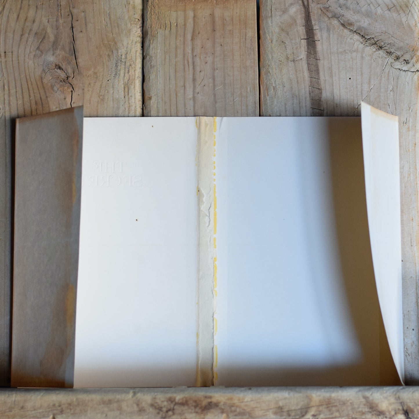 Vintage Fiction Hardback: Sean Kelly, Ted Mann and Byron Preiss - The Secret: A Treasure Hunt SECOND PRINTING