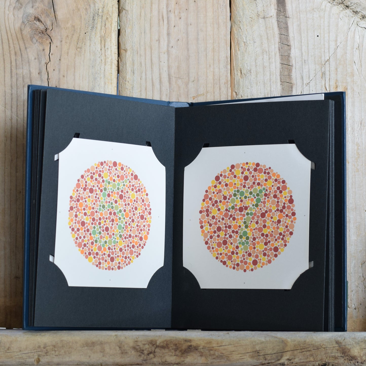 Vintage Non-fiction Hardback: Ishihara's Tests for Colour-Blindness 24 Plate Edition