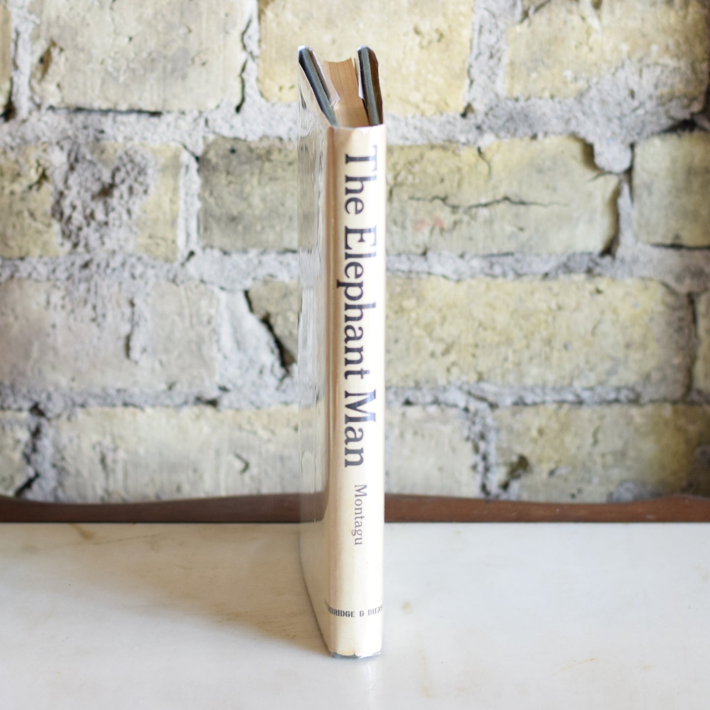 Vintage Non-fiction Hardback: Ashley Montagu - The Elephant Man: A Study in Human Dignity FIRST PRINTING