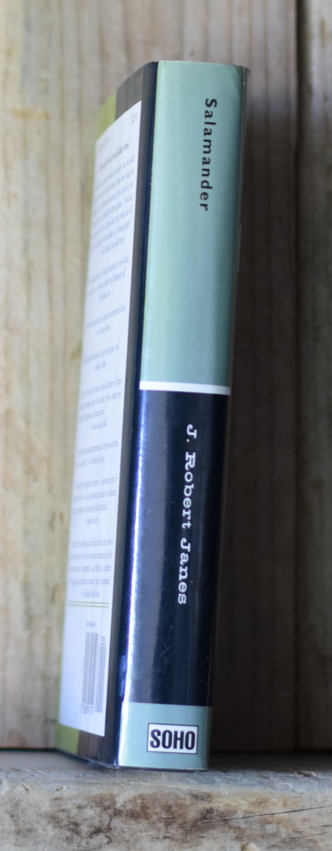 Vintage Fiction Hardback: J Robert Janes - Salamander FIRST PRINTING