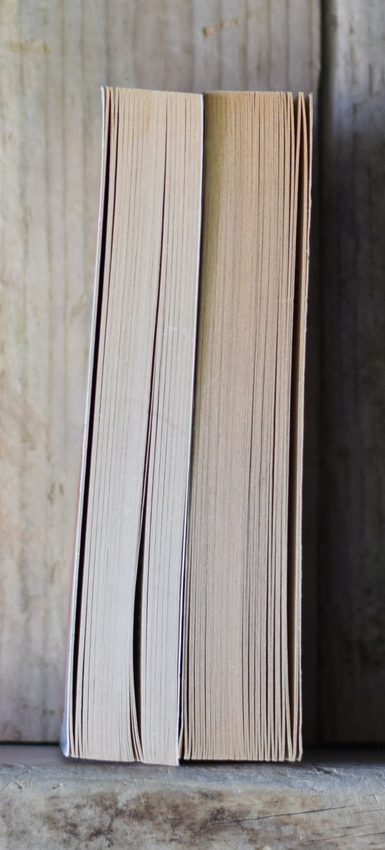 Vintage Fantasy Paperbacks: Richard Lupoff & Charles De Lint- The Dungeon, Vol 5 & 6 SECOND PRINTINGS