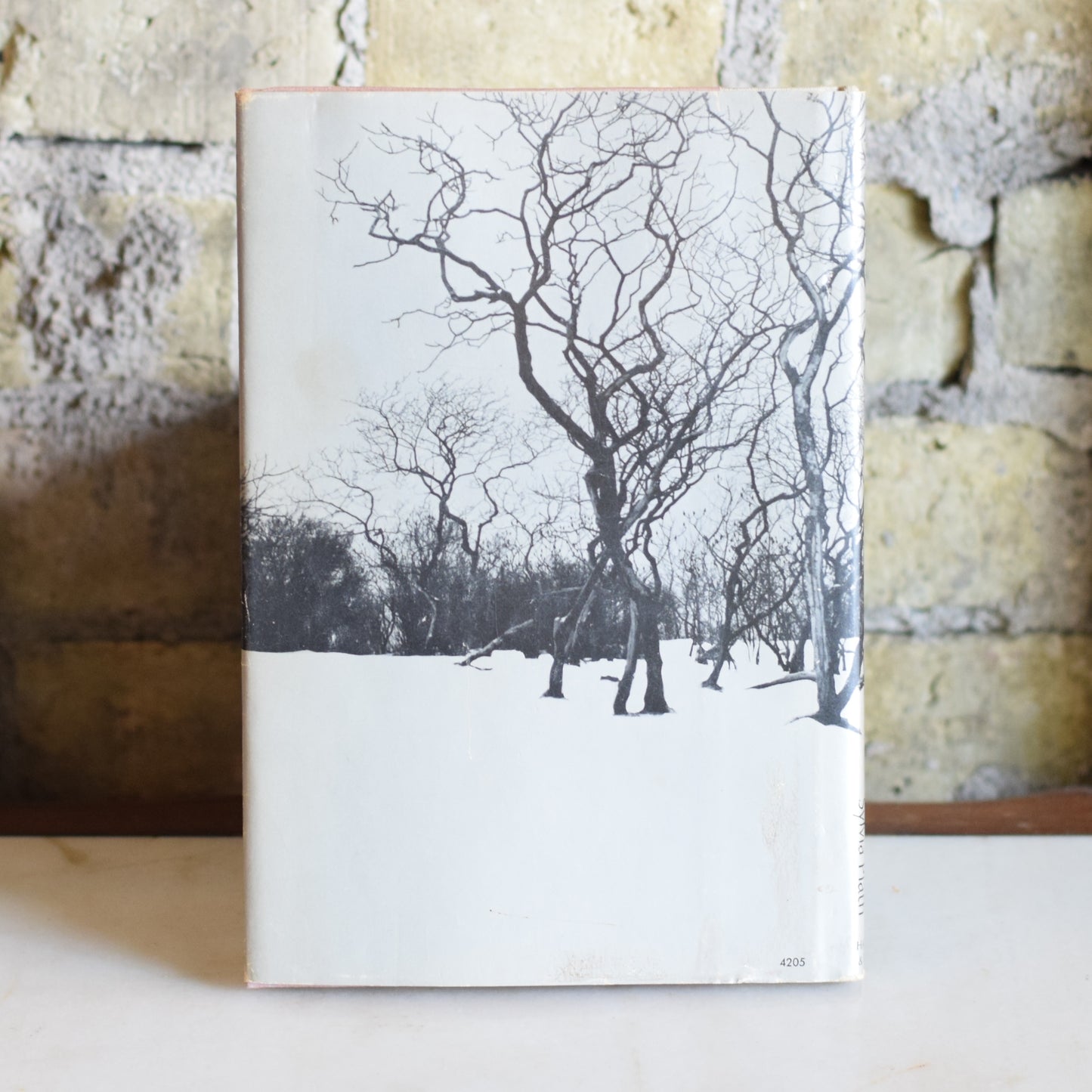 Vintage Poetry Hardback: Silvia Plath - Winter Trees