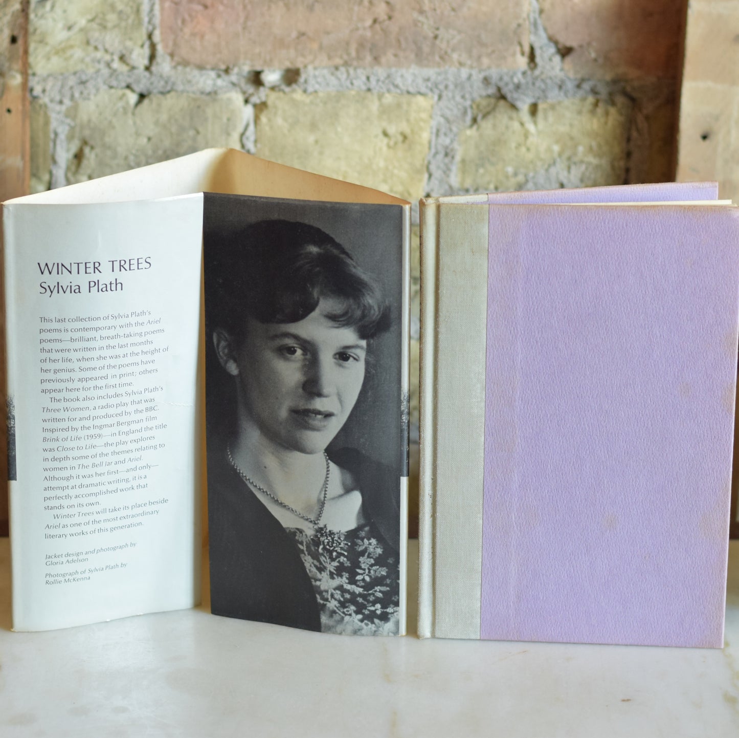 Vintage Poetry Hardback: Silvia Plath - Winter Trees