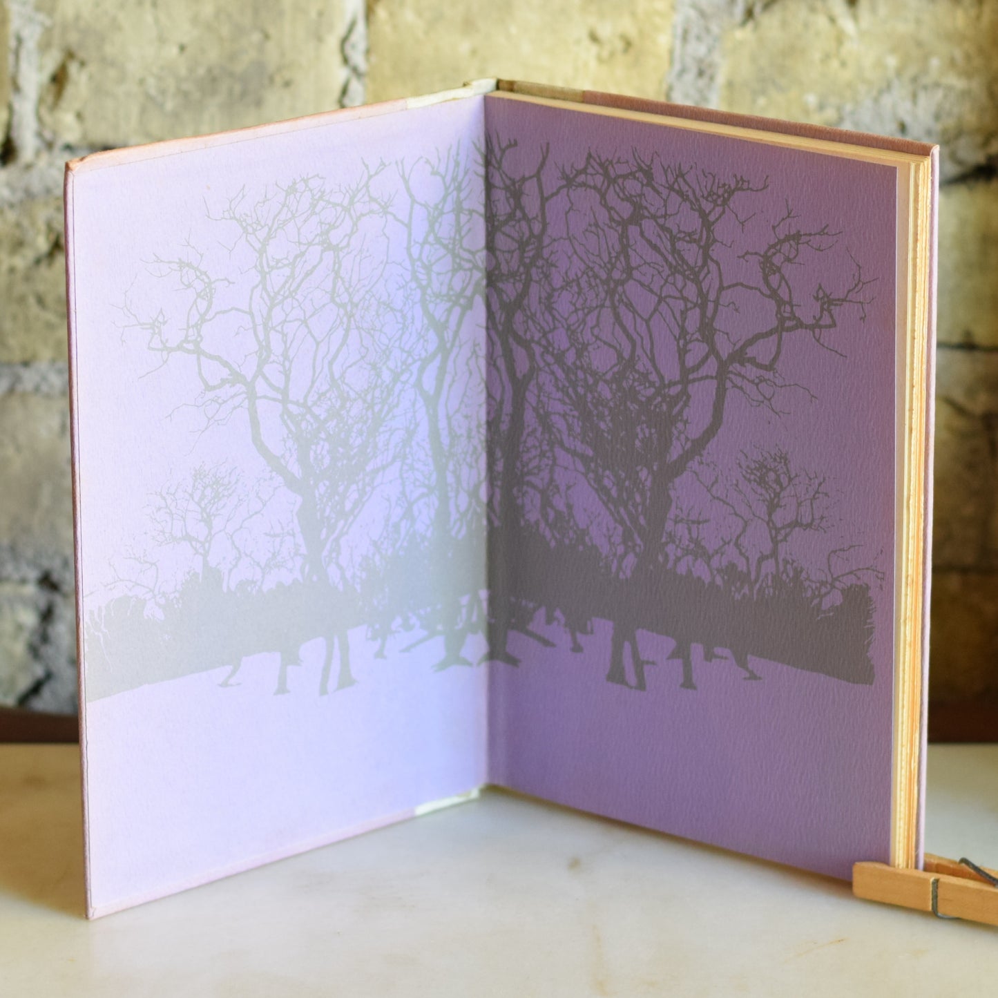 Vintage Poetry Hardback: Silvia Plath - Winter Trees