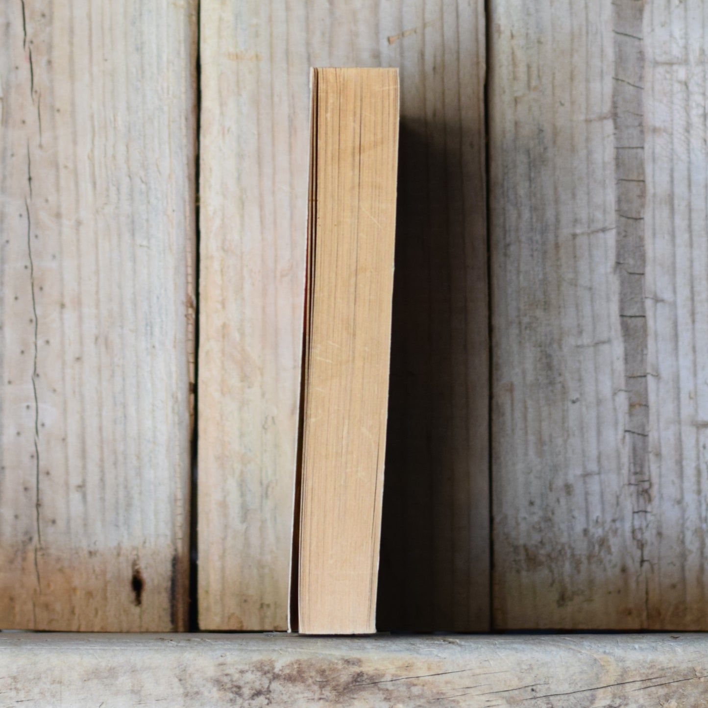 Vintage Fantasy Paperback: ER Eddison - The Mezentian Gate