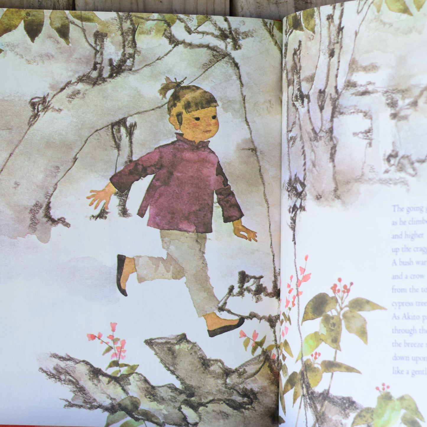 Vintage Children's Fiction Hardback: Hirosuke Hamada - The Tears of the Dragon, with Illustrations by Chihiro Iwasaki