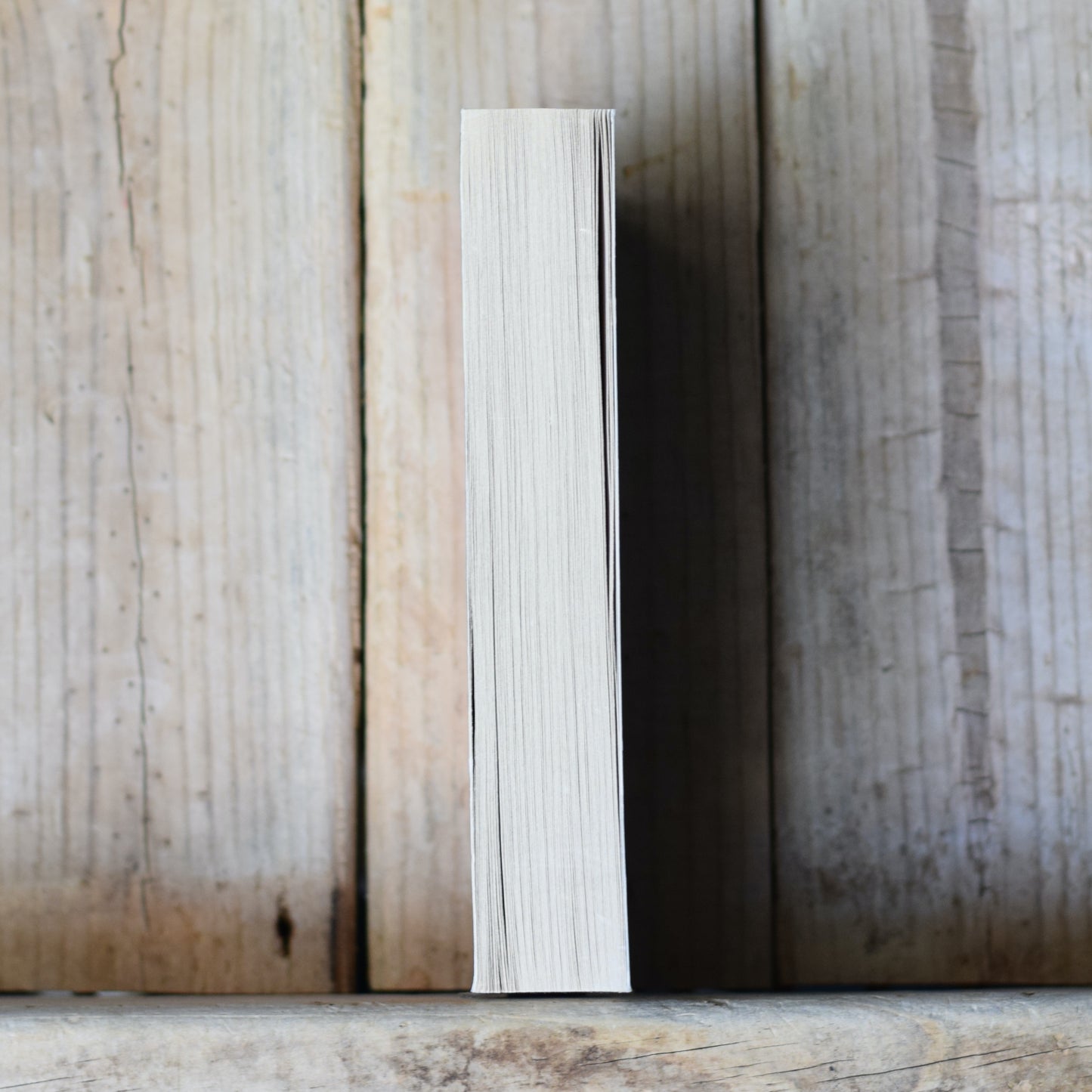 Sci-fi Paperback: Dan Abnett - Warhammer 40K: First and Only FIRST PRINTING