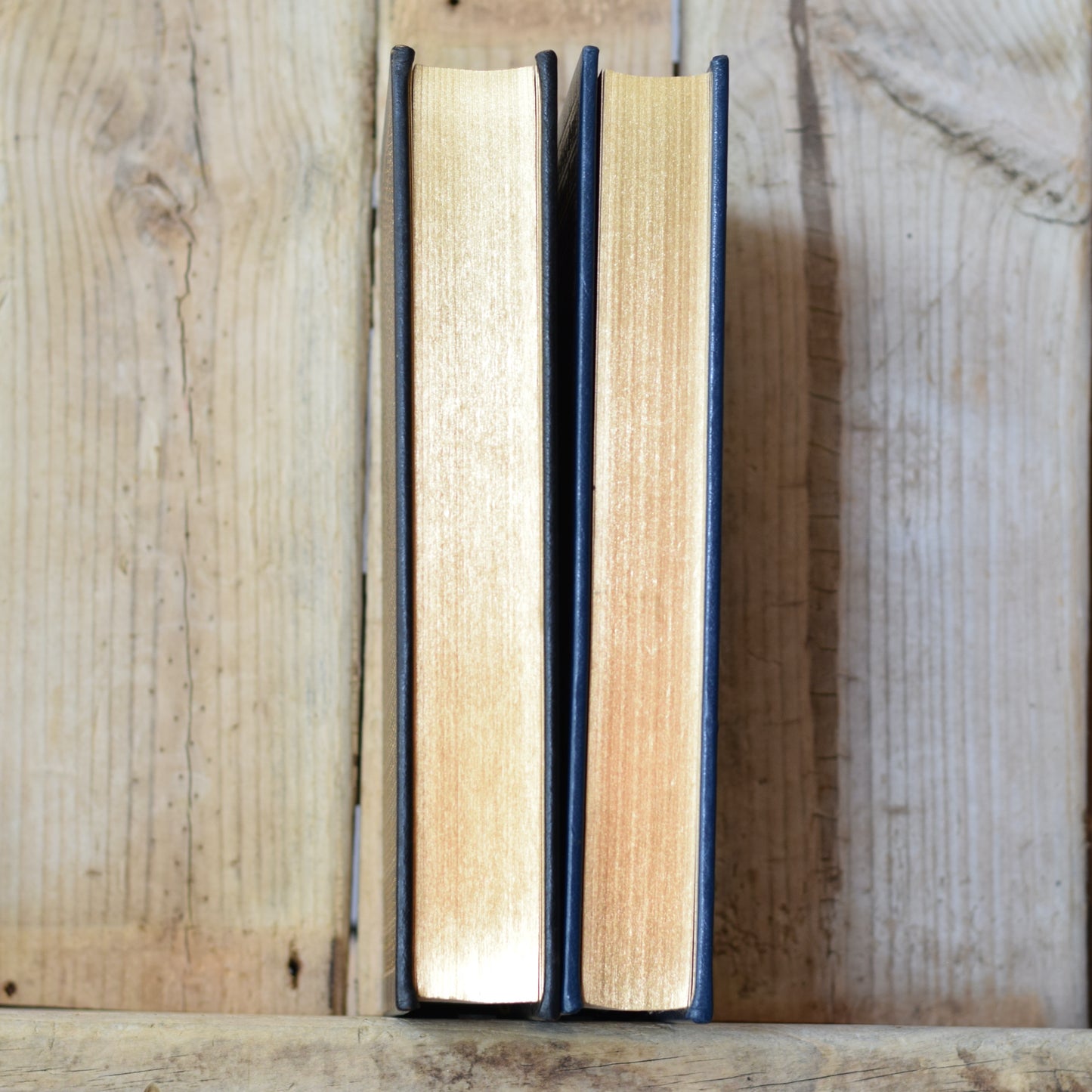 Vintage Fiction Hardback: Homer - The Odyssey and The Iliad, Easton Press