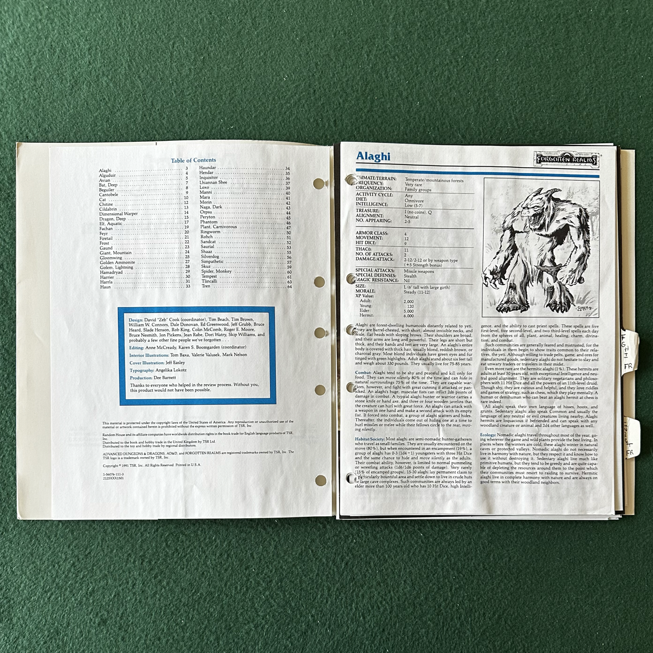 Vintage Dungeons & Dragons 2e Accessory: Forgotten Realms Monstrous Compendium Appendix