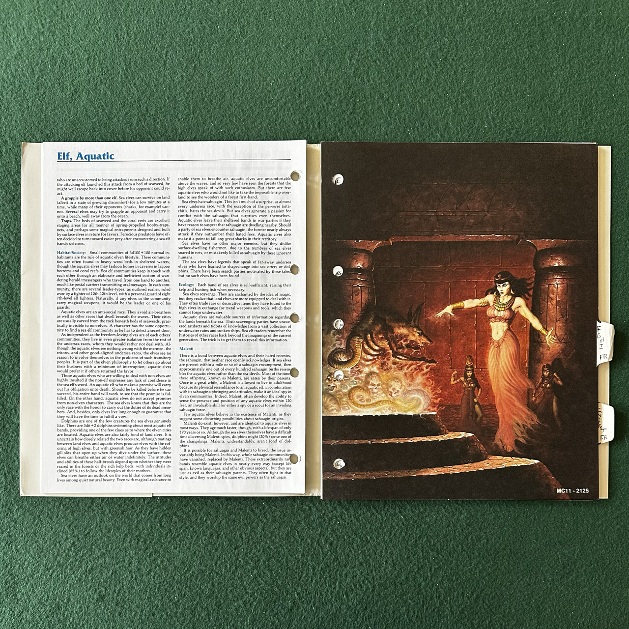 Vintage Dungeons & Dragons 2e Accessory: Forgotten Realms Monstrous Compendium Appendix