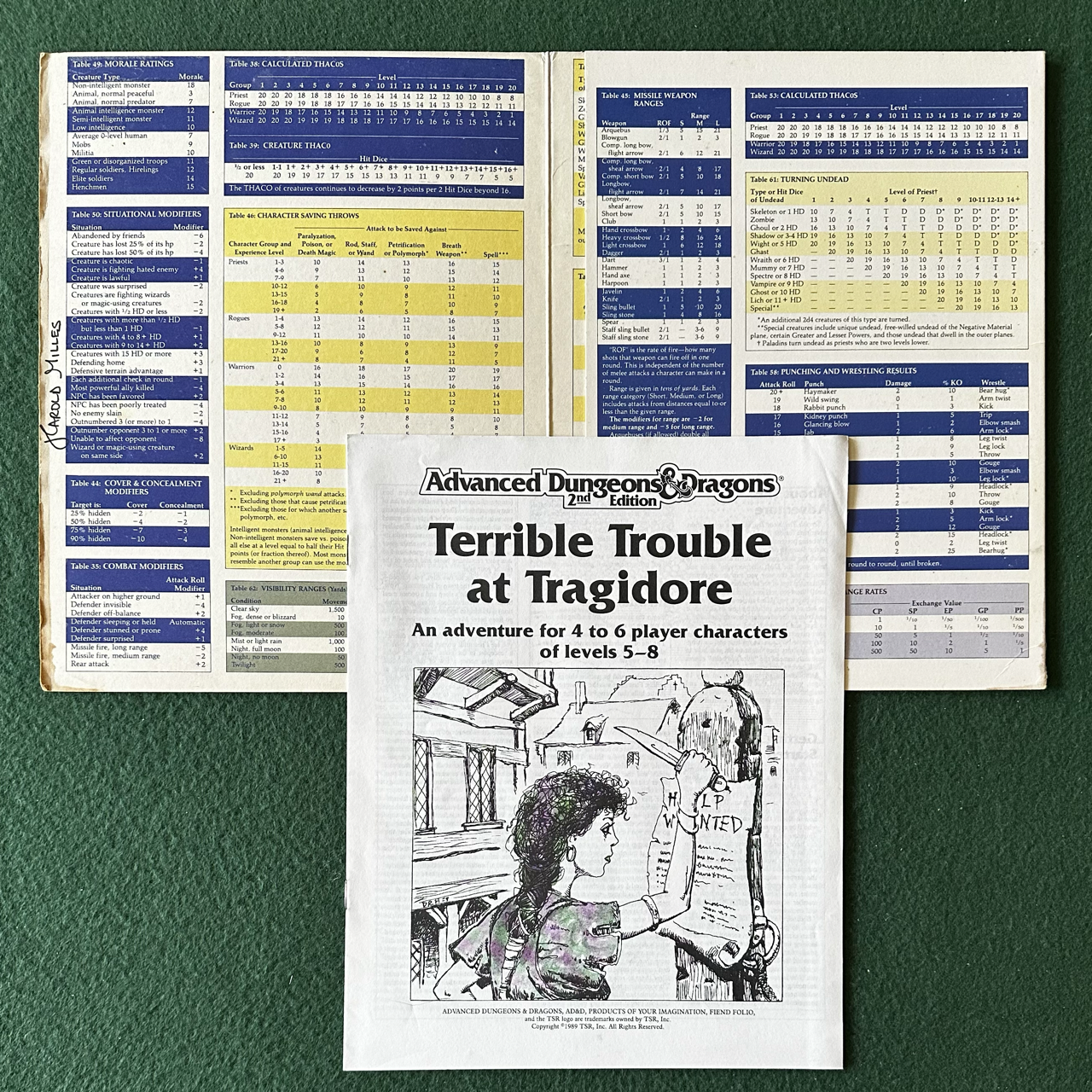 Vintage Dungeons & Dragons 2e Accessory: Dungeon Master's Screen W/ Terrible Trouble at Tragidore