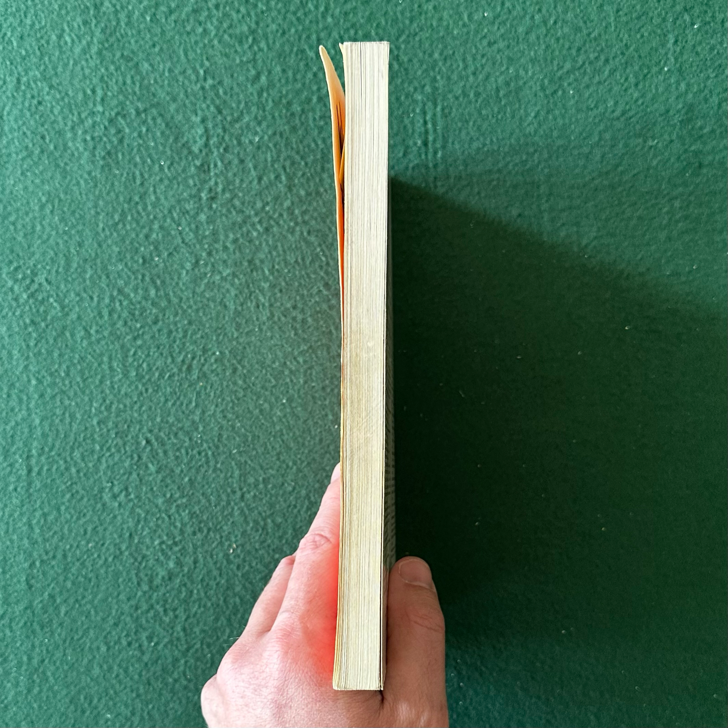 Vintage Non-Fiction Paperback: Seikichi Toguchi - Okinawan Goju-Ryu