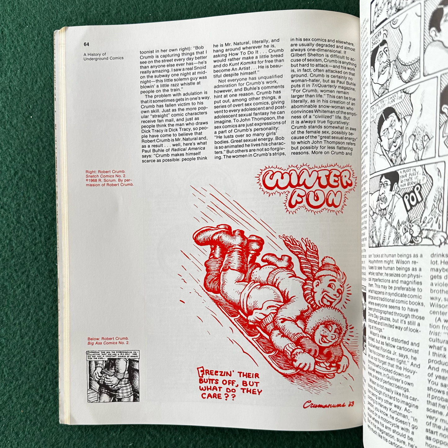 Vintage Non-Fiction Paperback: Mark James Estren - A History of Underground Comics