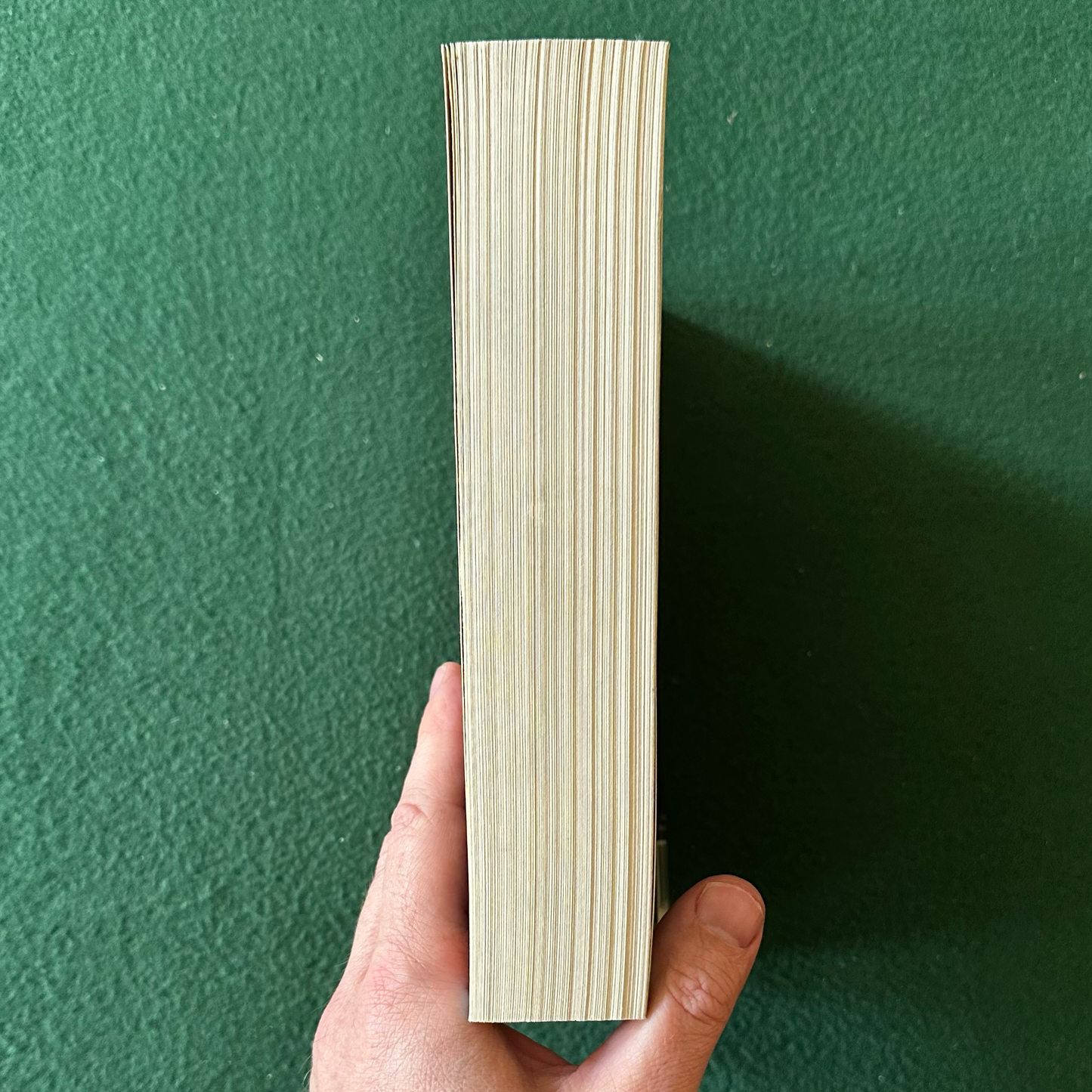 Vintage Fantasy Paperback: Robert Jordan - The Great Hunt FIRST PRINT