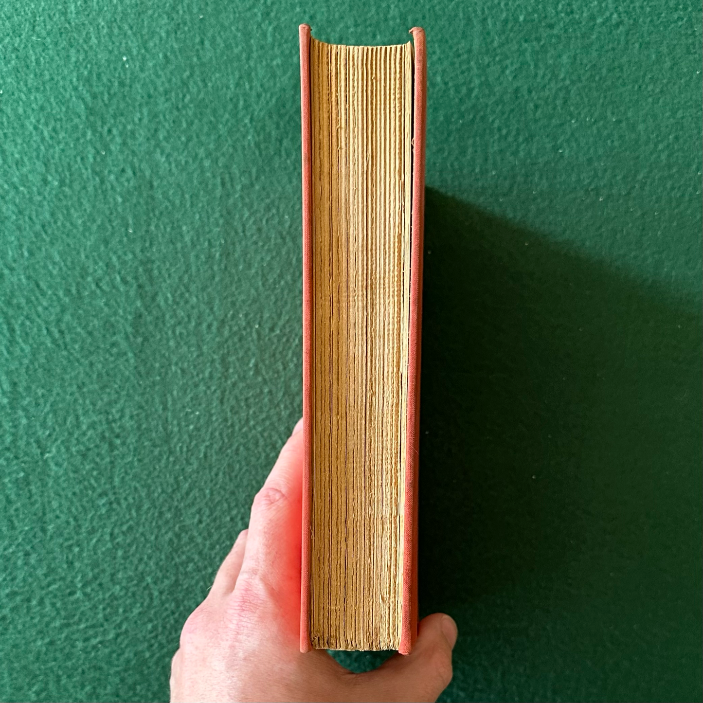 Vintage Fiction Hardback: Caroline Miller - Lamb in his Bosom 1933
