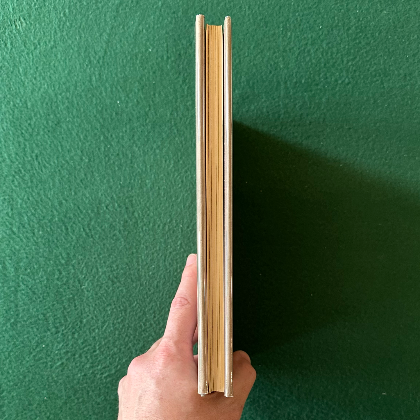 Vintage Fantasy Hardback: Robert E Howard - A Witch Shall Be Born FIRST EDITION