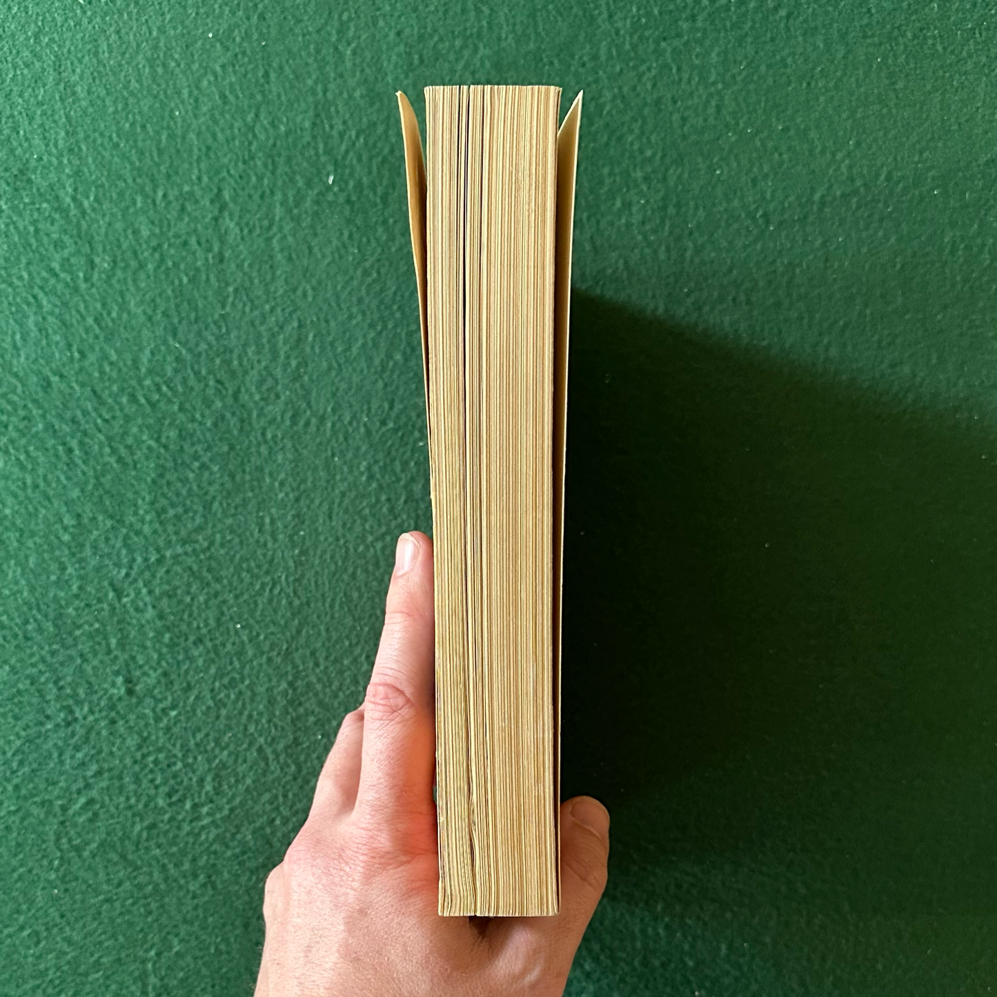 Vintage Sci-Fi Paperback: Frank Herbert - Dune