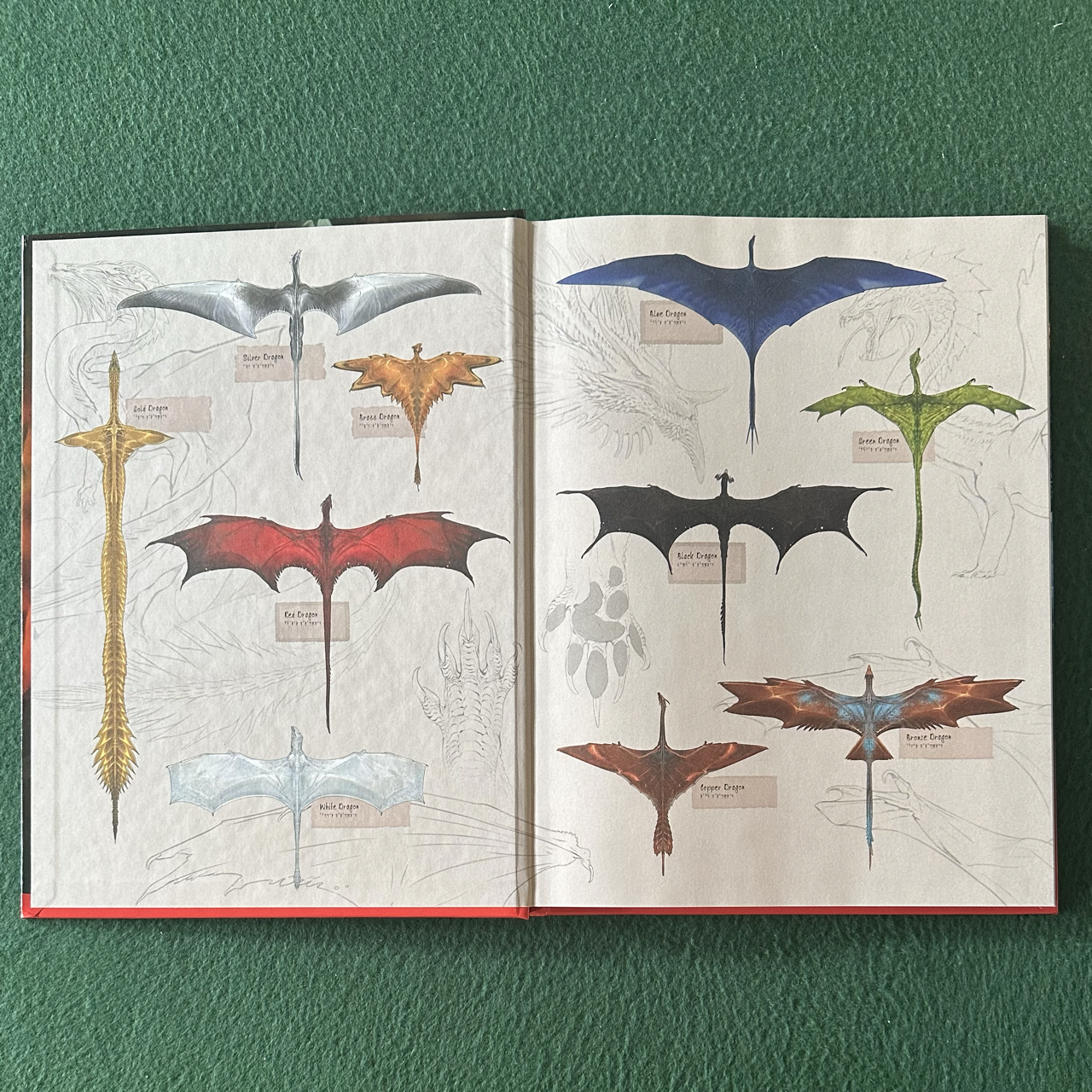Dungeons & Dragons Adventure: Dragon Delves 5/5.5e FIRST PRINTING