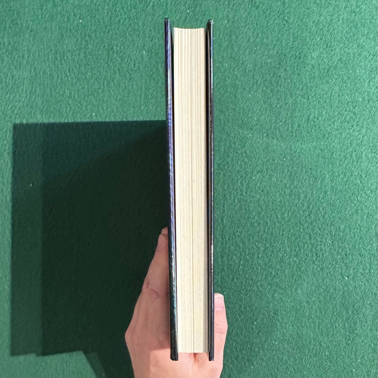 Horror Hardback: Gerald Brom - Evil in Me SIGNED FIRST EDITION