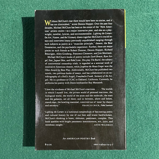 Vintage Non-Fiction Paperback: Michael McClure - Lighting the Corners: On Art, Nature and the Visionary FIRST PRINTING
