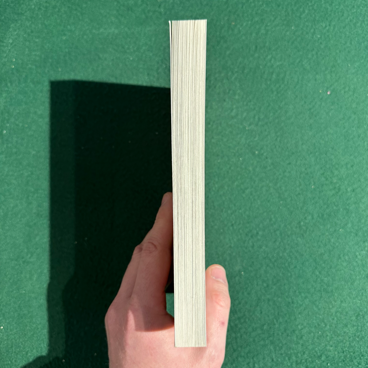 Fiction Paperback: David Joy - The Line That Held Us SIGNED SECOND PRINTING