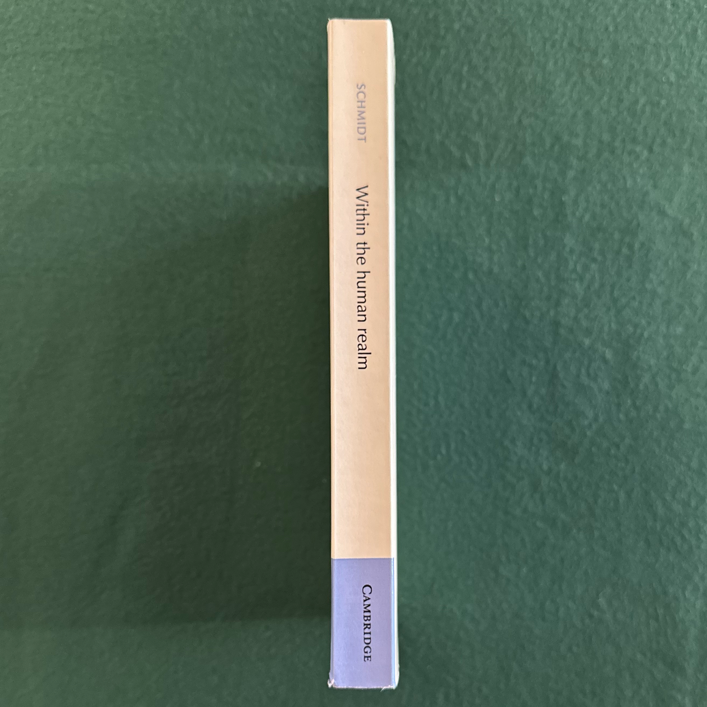 Poetry Paperback: Huang Zunxian - Within the Human Realm, Poetry 1848-1905 Translated by J D Schmidt
