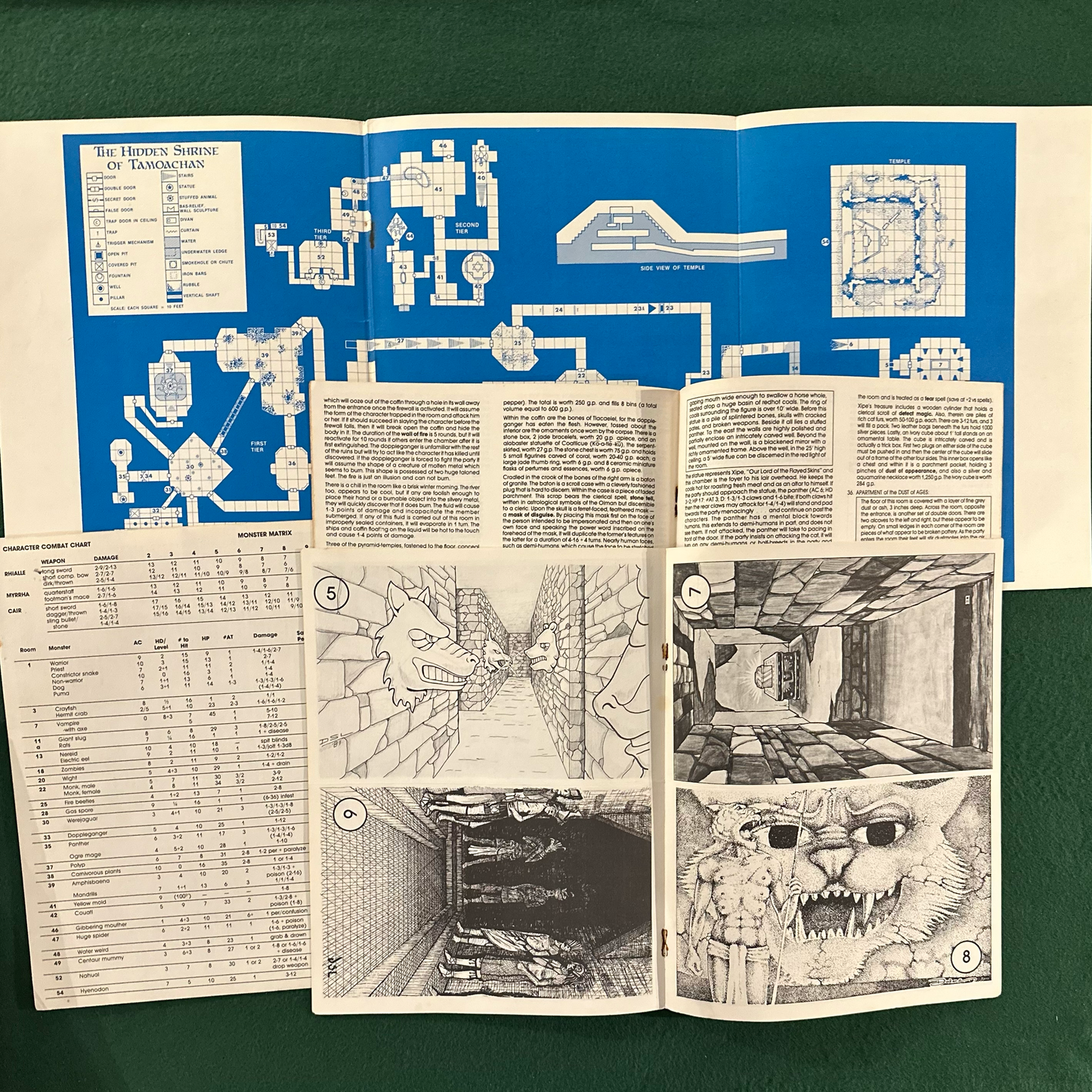 Vintage Dungeons & Dragons Game Book: The Hidden Shrine of Tamoachan