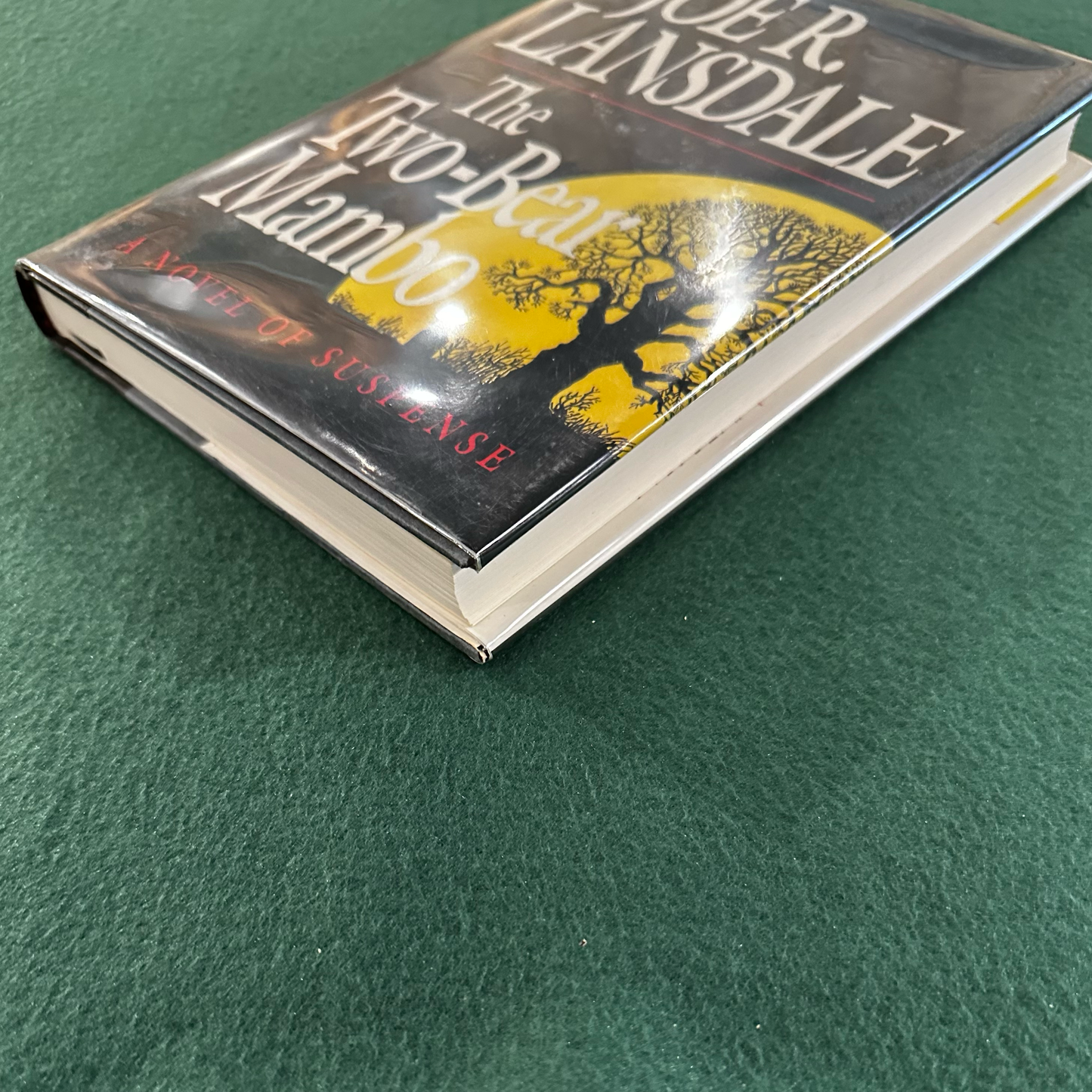 Vintage Fiction Hardback: Joe R Lansdale - The Two-Bear Mambo SIGNED FIRST EDITION/PRINTING