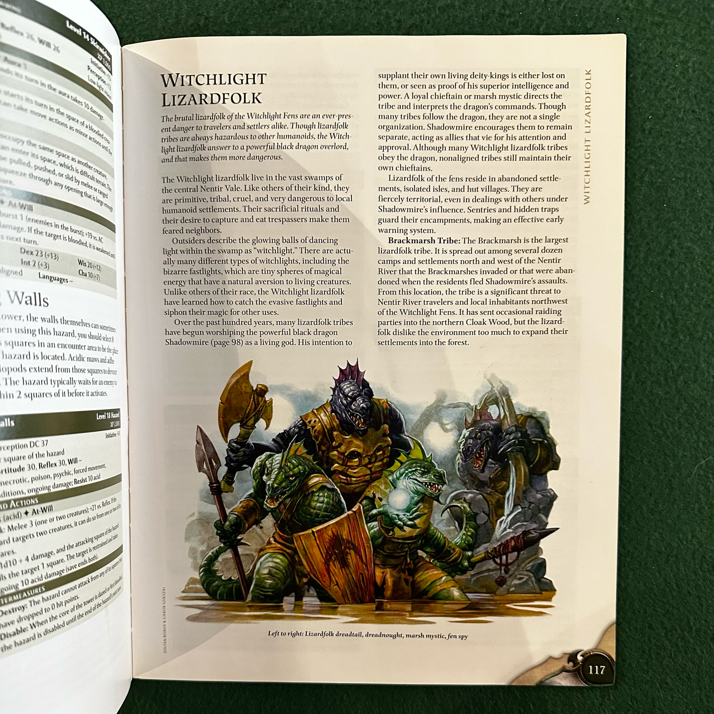 Dungeons and Dragons Paperback: Monster Vault - Threats to the Nentir Vale BOOK ONLY