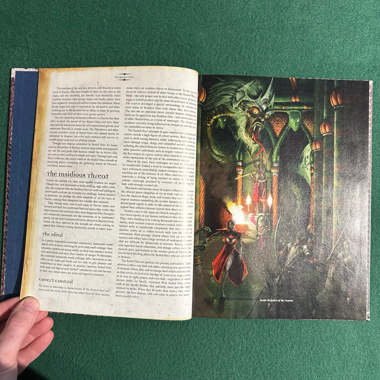 Dungeons & Dragons 3e Supplement: Forgotten Realms: Serpent Kingdoms FIRST PRINTING