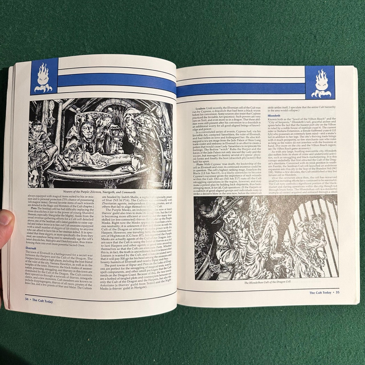 Vintage Advanced Dungeons & Dragons 2e Accessory: Forgotten Realms: Cult of the Dragon