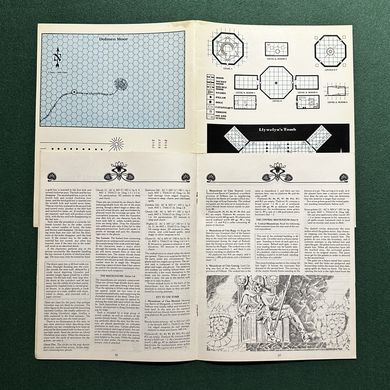 Vintage Dungeons & Dragons Adventure: AD&D - The Bane of Llywelyn