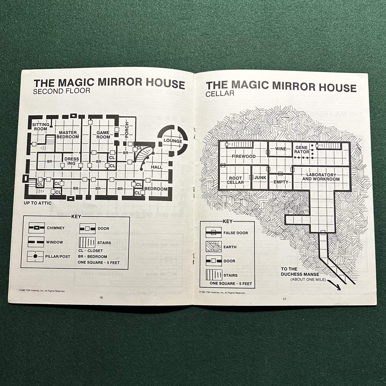 Vintage Dungeons & Dragons Adventure: AD&D - The Land Beyond the Magic Mirror