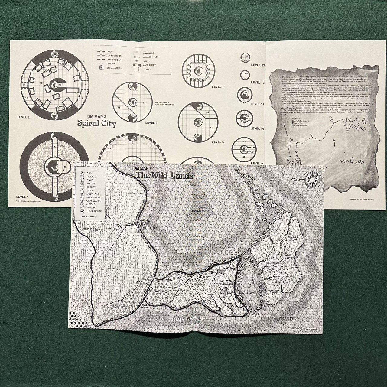 Vintage Dungeons & Dragons Adventure: D&D Expert - Quagmire!