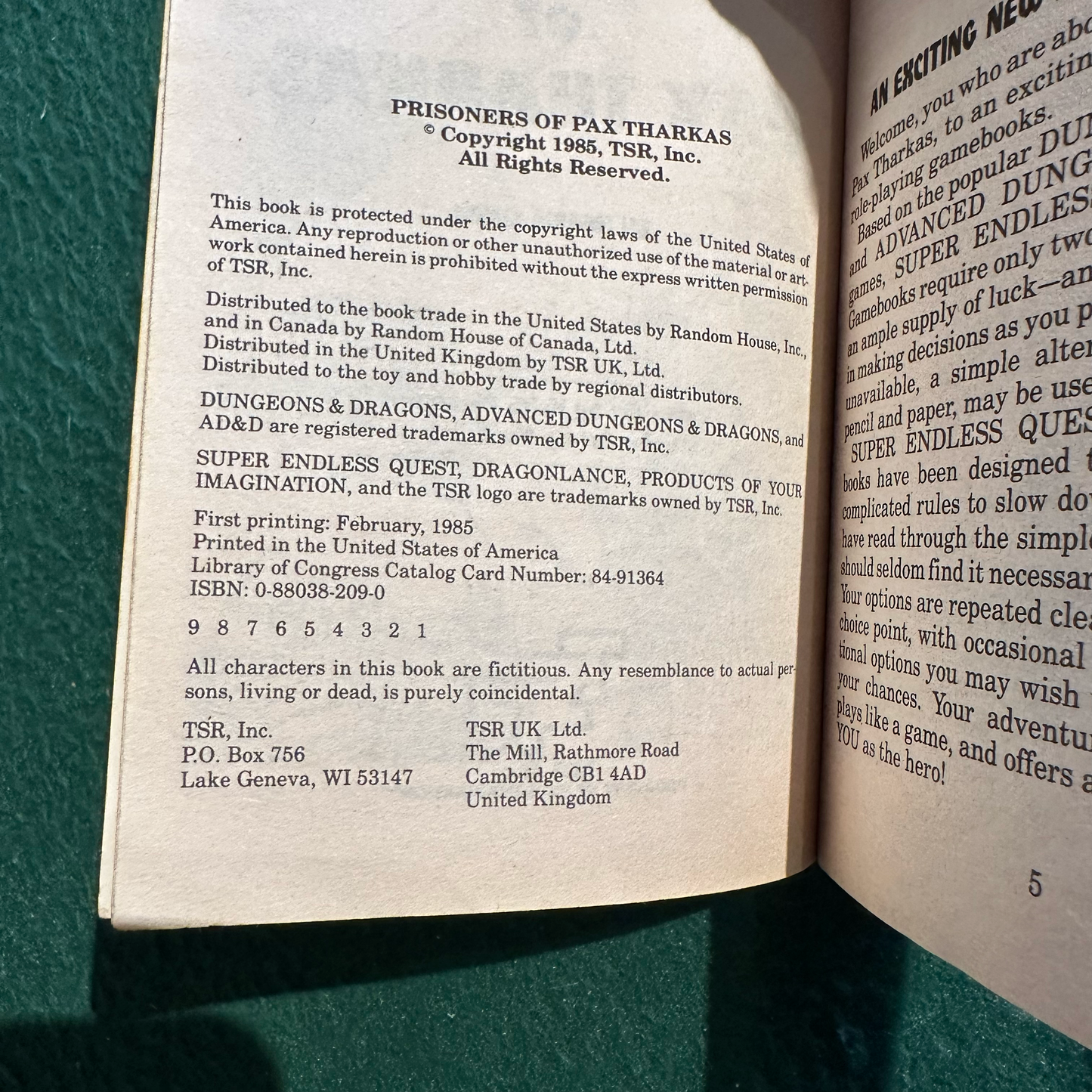 Vintage Dungeons & Dragons Paperback: Morris Simon - Dragonlance Super Endless Quest: Prisoners of Pax Tharkas FIRST PRINTING