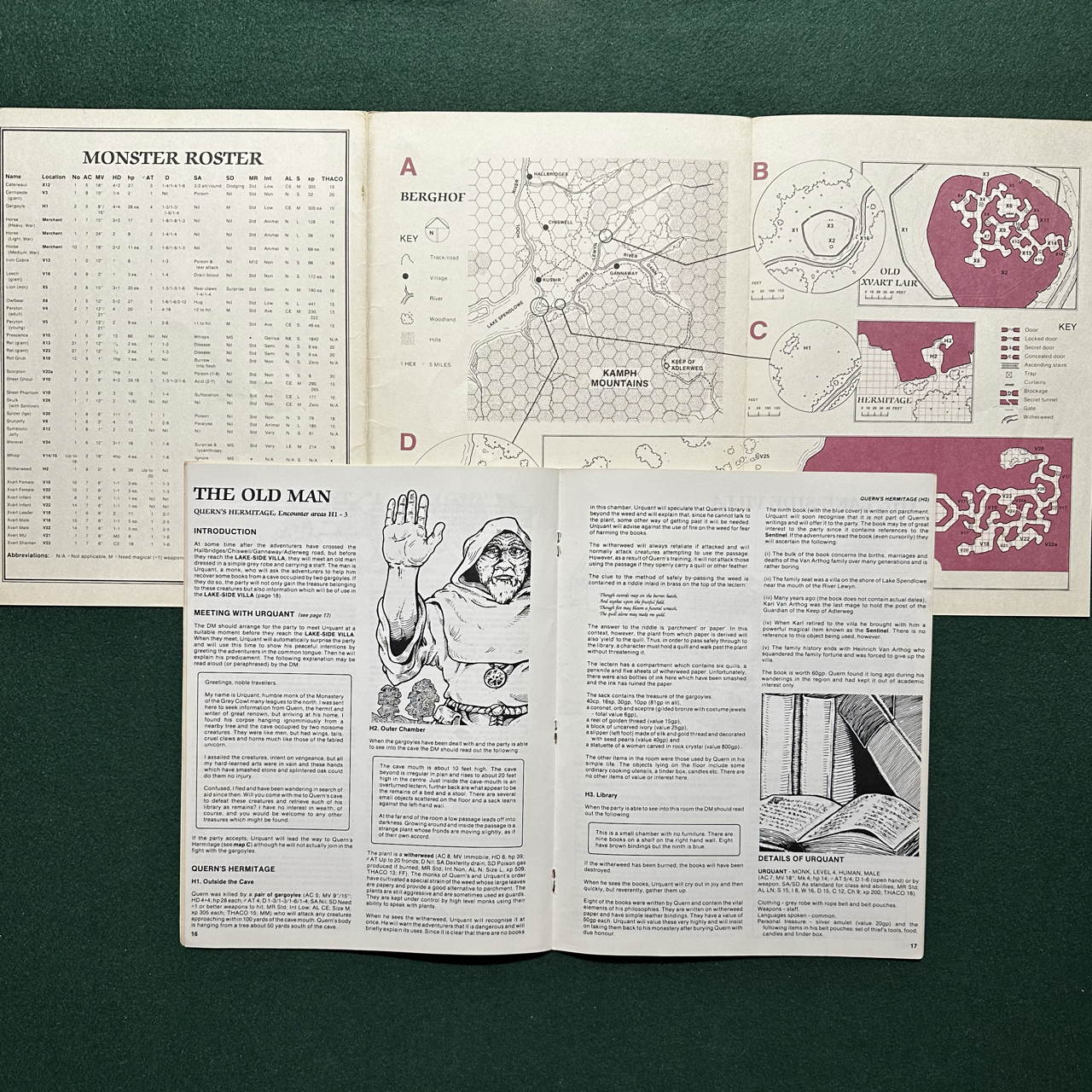 Vintage Dungeons & Dragons Adventure: AD&D The Sentinel