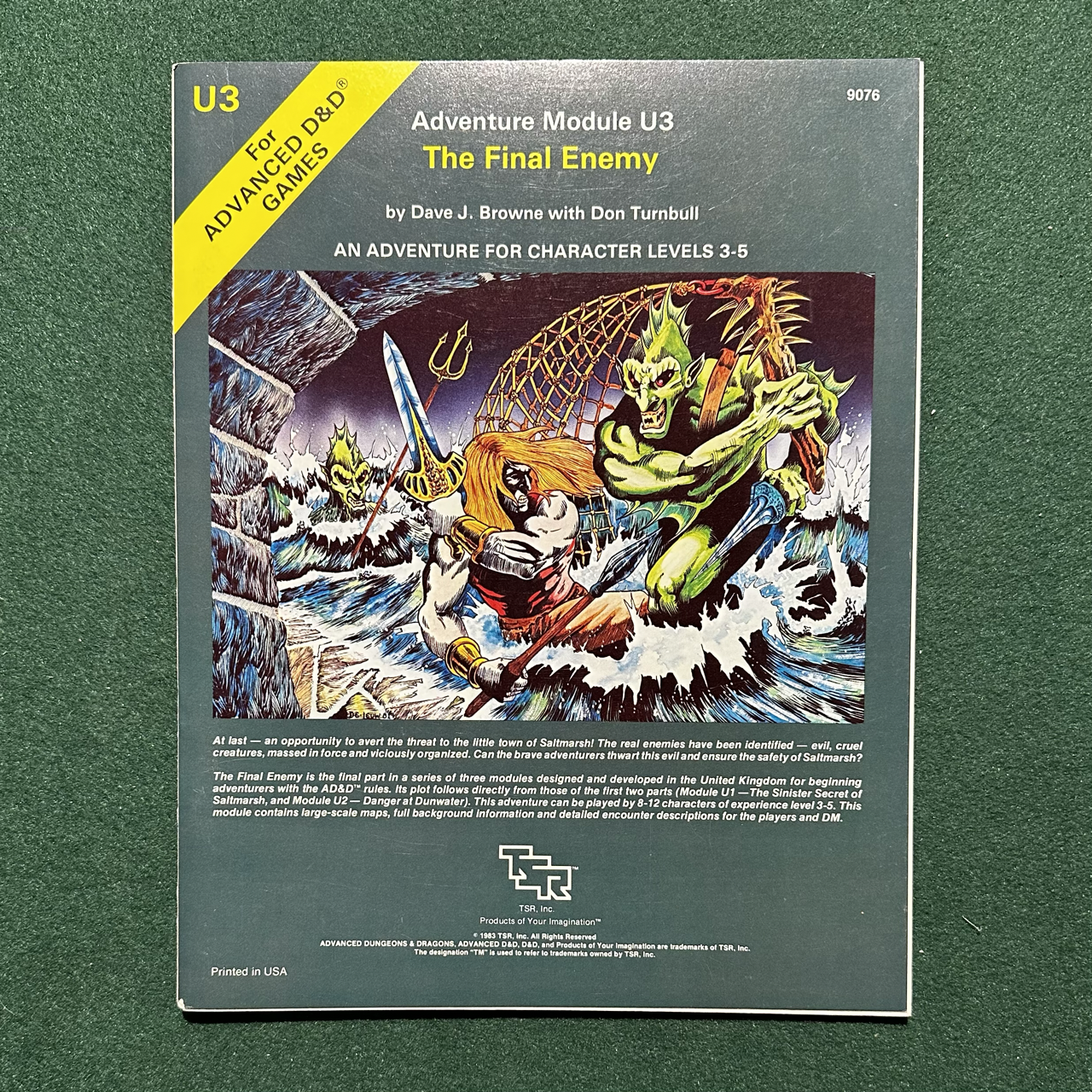 Vintage Dungeons & Dragons Adventure: AD&D The Final Enemy