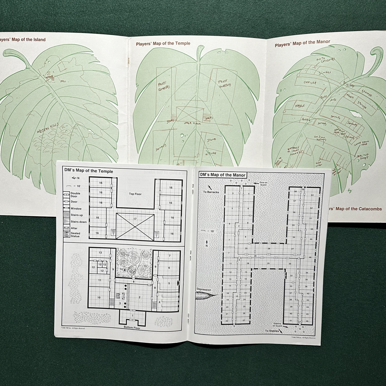 Vintage Dungeons & Dragons Adventure: AD&D - Treasure Hunt