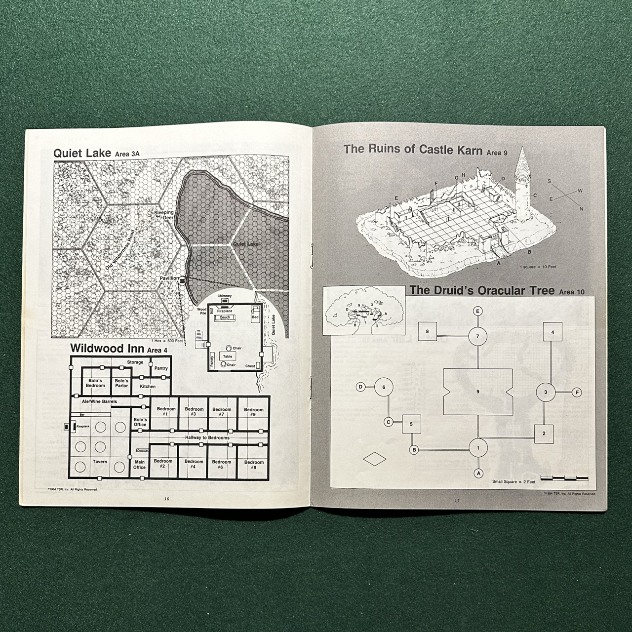 Vintage Dungeons & Dragons Adventure: AD&D - The Forest Oracle