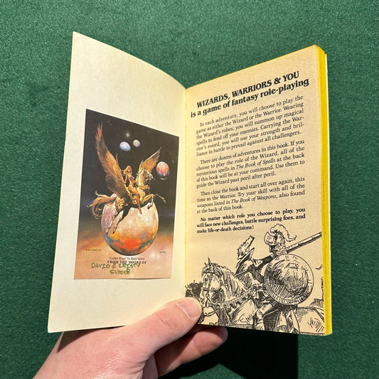 Vintage Fantasy Paperback: Eric Affabee - Wizards Warriors & You: The Dragon Queen's Revenge FIRST PRINTING