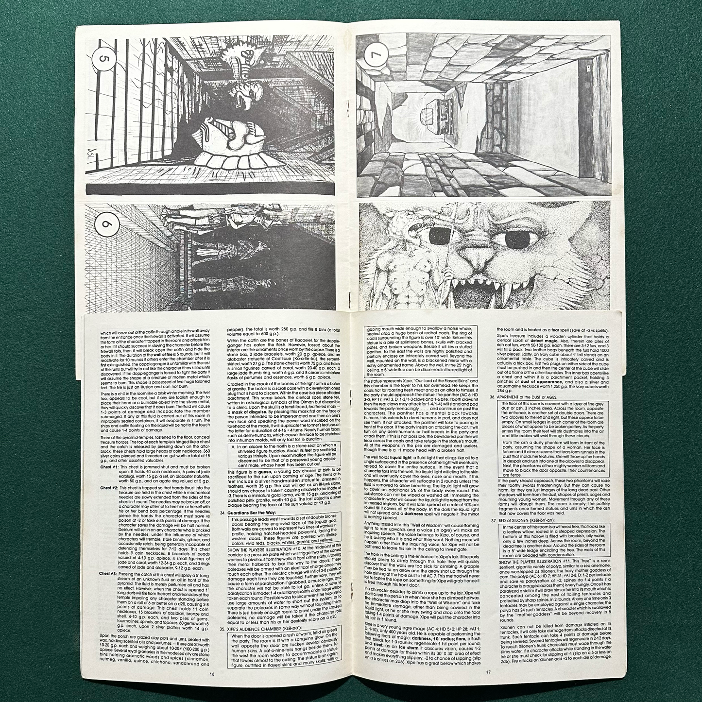 Vintage Dungeons & Dragons Adventure: AD&D The Hidden Shrine of Tamoachan COMPLETE