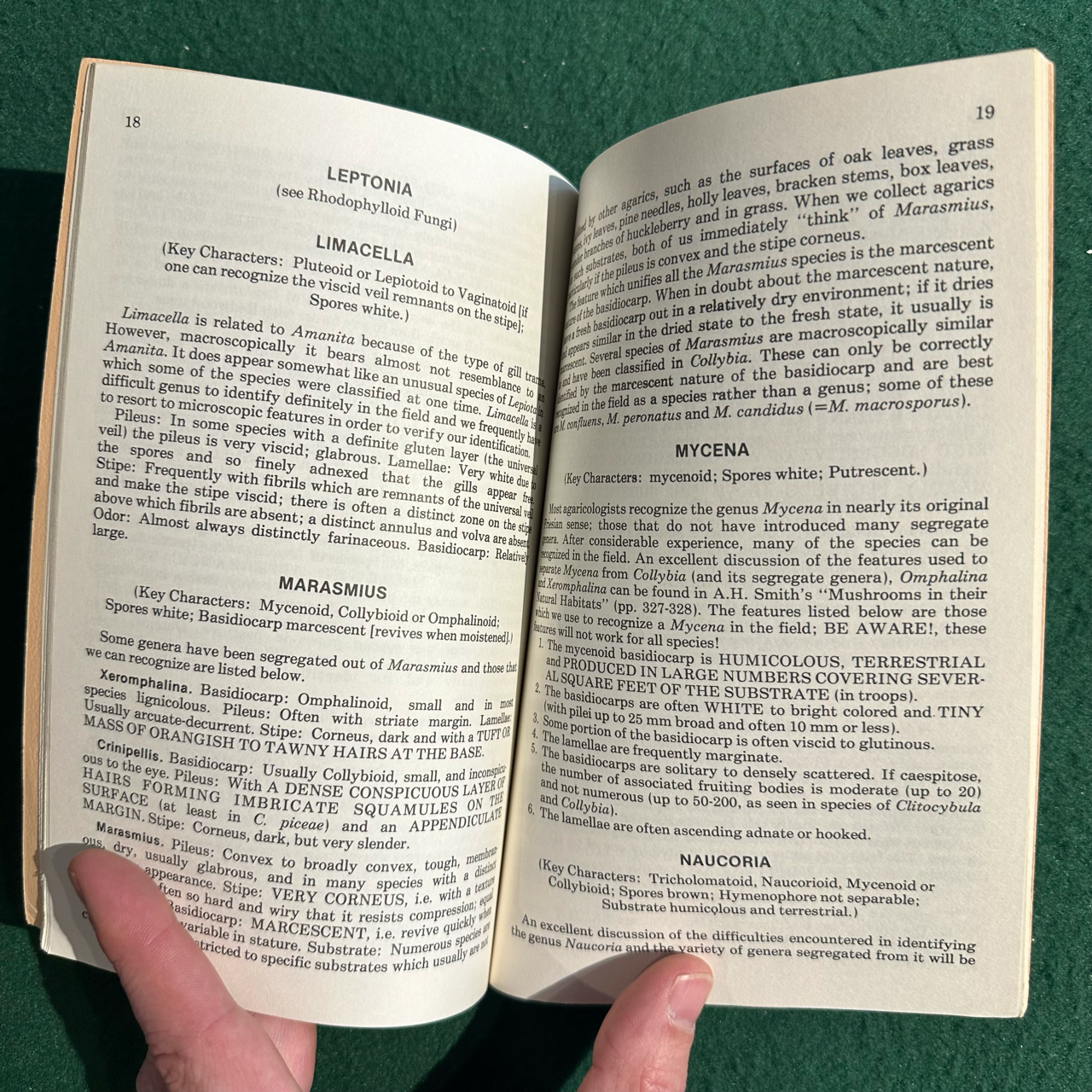 Vintage Non-Fiction Paperback: David L Largent and Harry D Thiers - How to Identify Mushrooms to Genus II: Field Identification of Genera