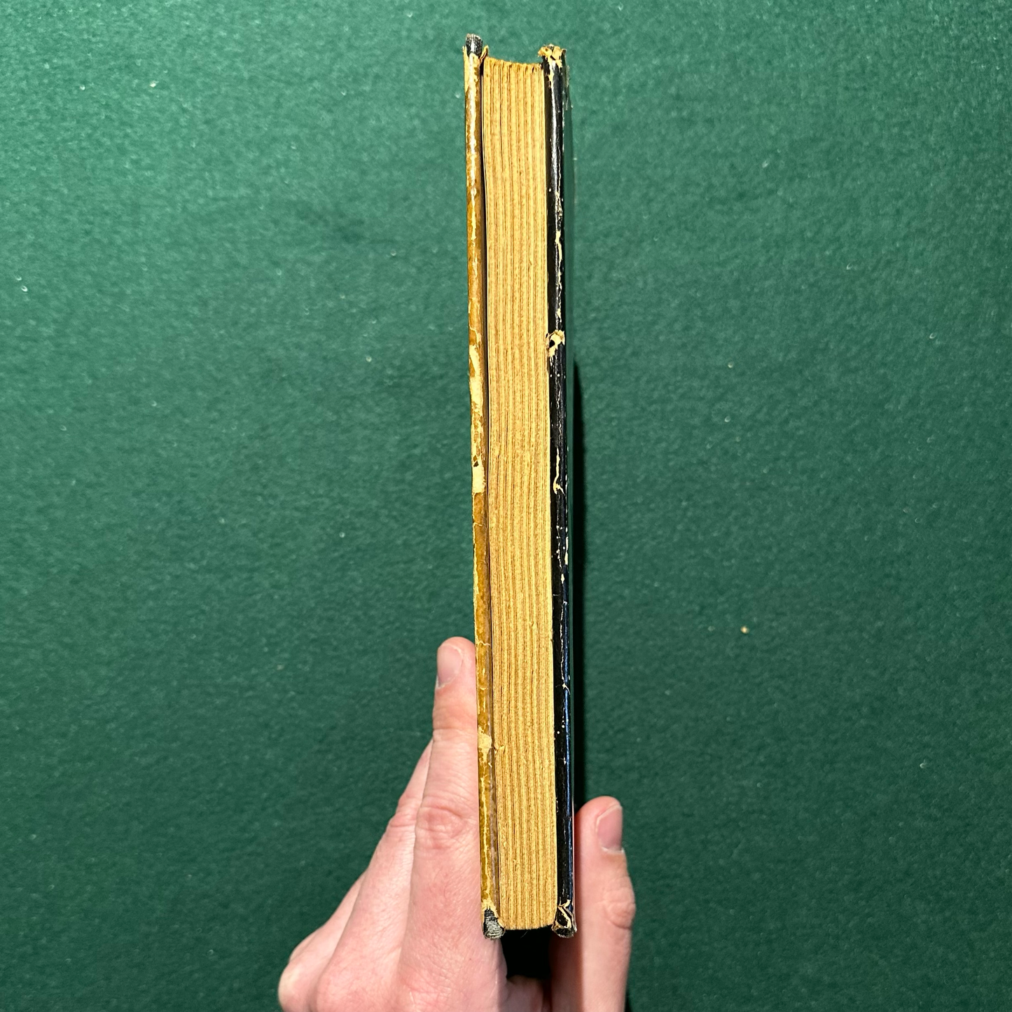 Vintage Fiction Hardback: Stanton Forbes - The Terrors of the Earth FIRST EDITION