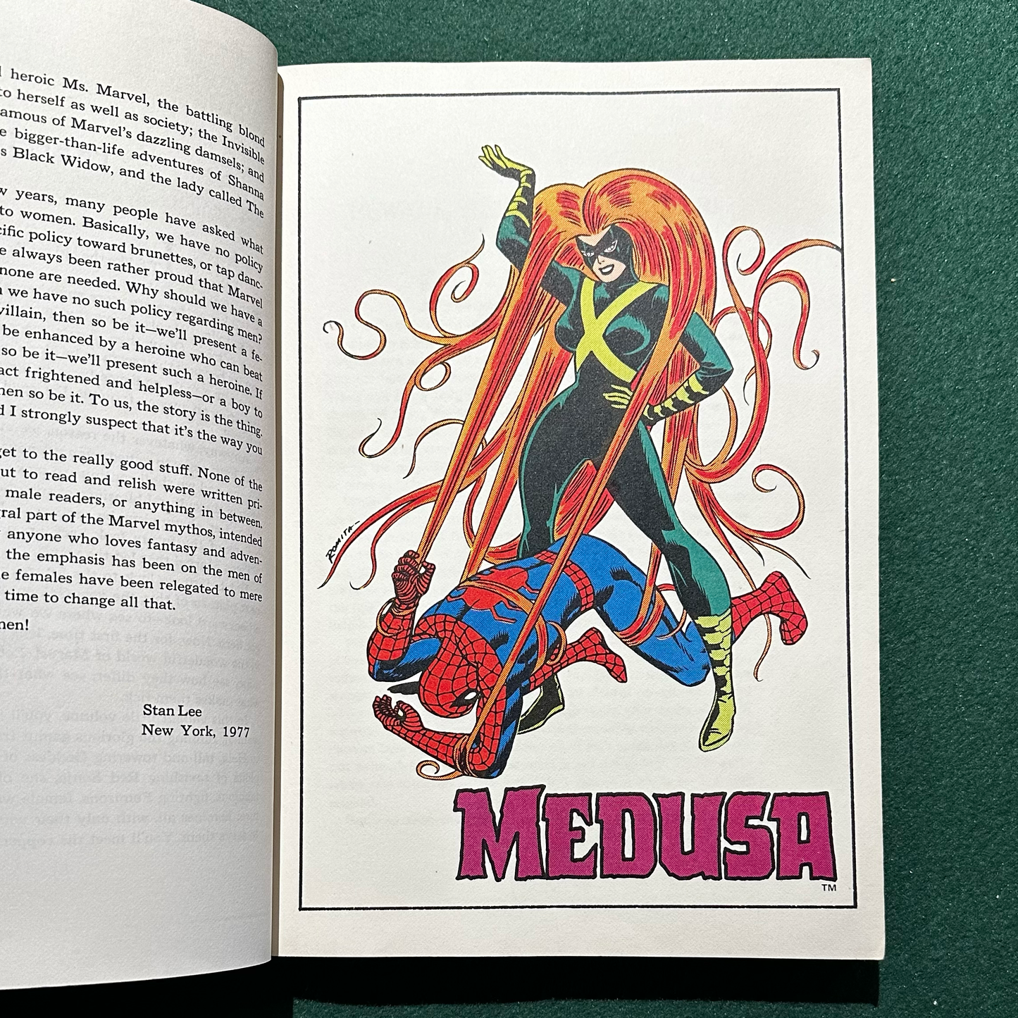 Vintage Graphic Novel: Stan Lee - The Superhero Women FIRST PRINTING