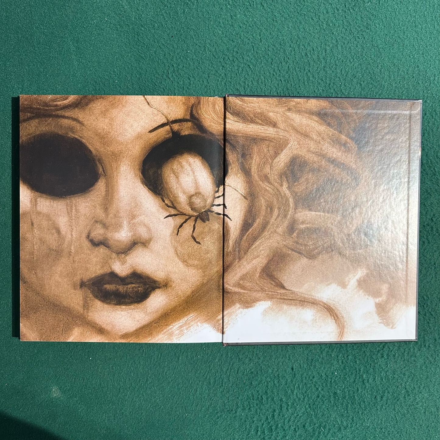 Art Hardback: Gerald Brom - The Plucker SIGNED